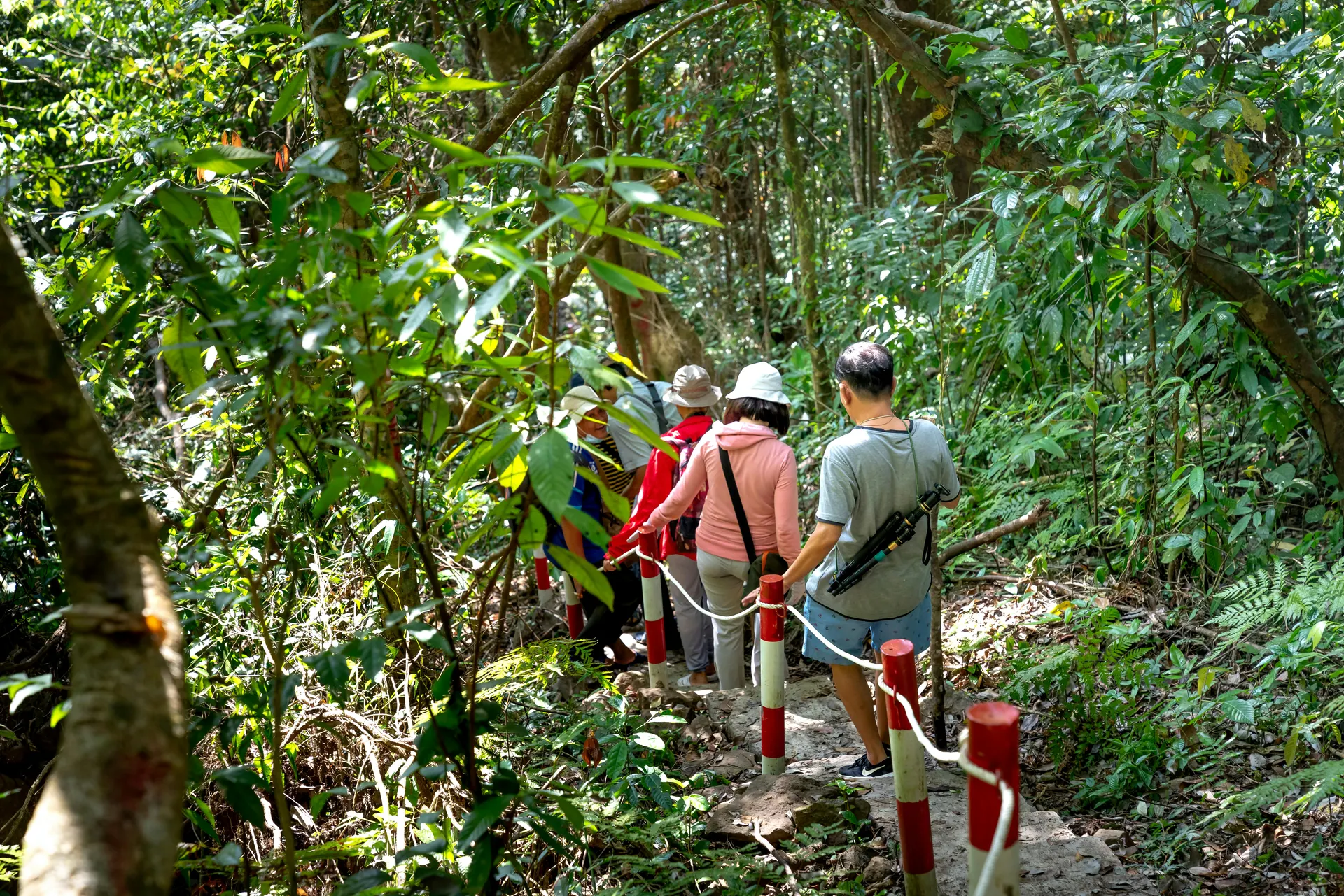 Rainforest weekend route in Malaysia