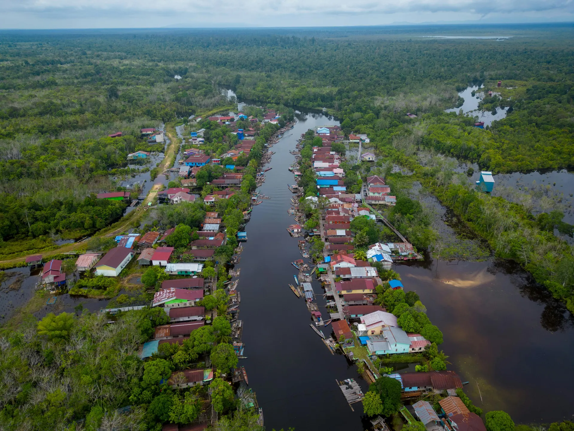 Lush Malaysian rainforest landscape with layered greenery and a scenic eco-adventure atmosphere
