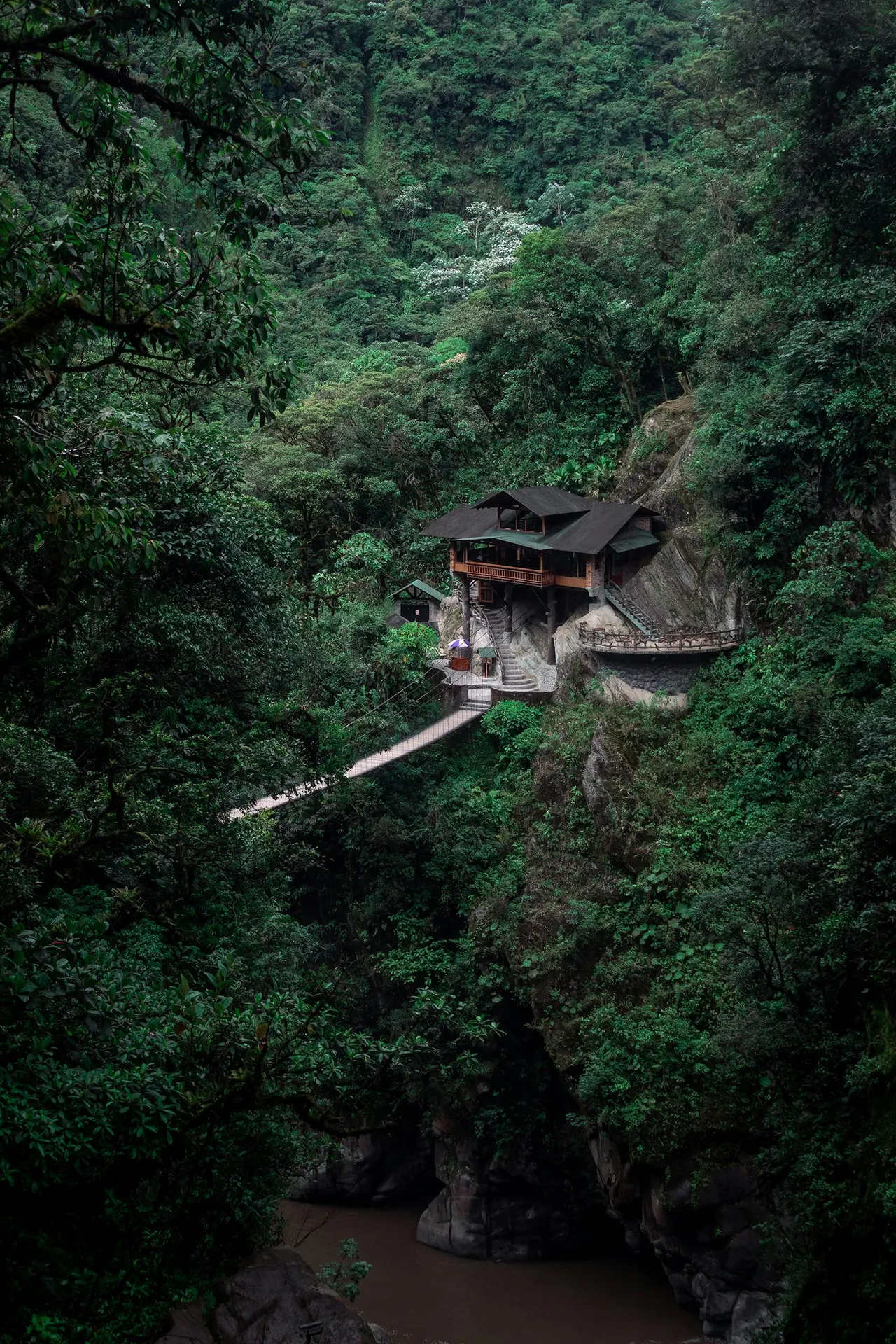 Rainforest expedition path in Belum, Malaysia